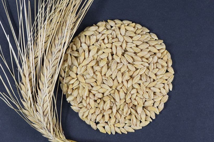 Arpa (baxorgi, lalmi)